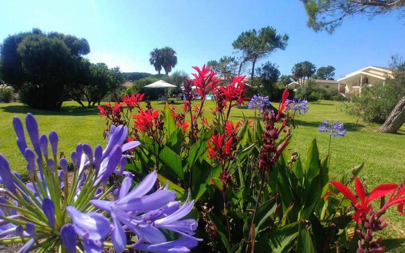 HORSE COUNTRY RESORT CONGRESS&SPA